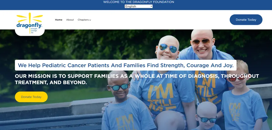 Dragonfly Foundation project preview
