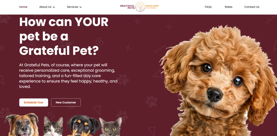 Grateful Pets of St. Louis project preview