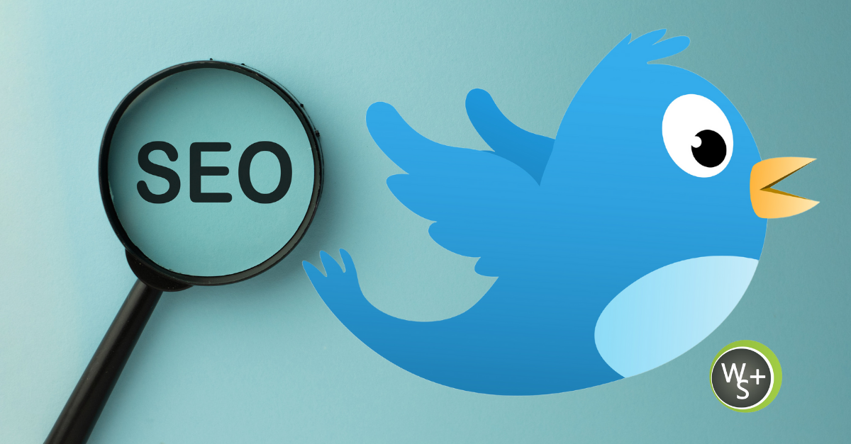 3 Important Twitter Search Optimization Tips To Drive Website Traffic