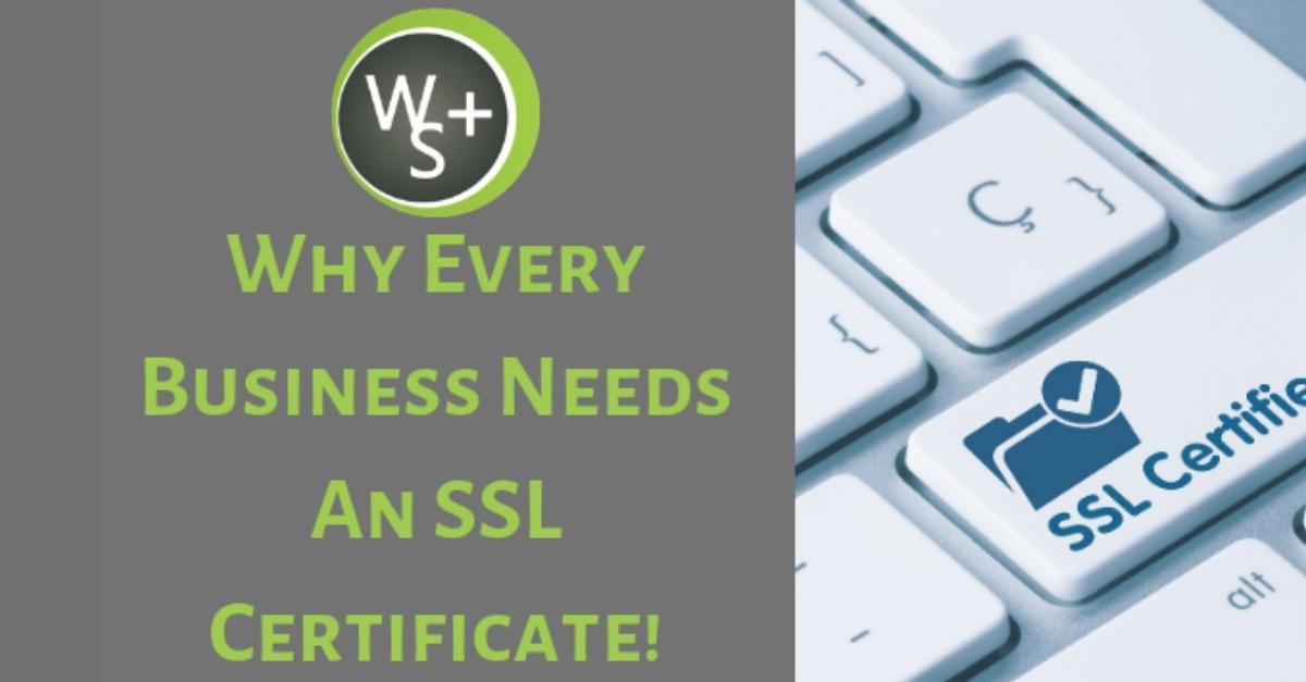 Why Every Business Needs An SSL Certificate