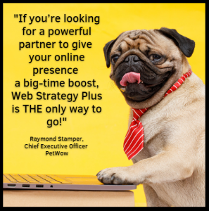 if you're looking for a powerful partner to give your online presence a boost web strategy plus is the only way to go raymond stamper chief executive officer petwow