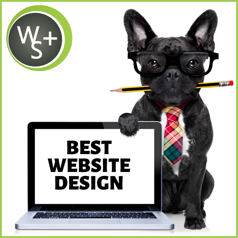 best website design