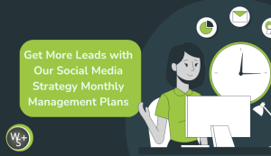 Get More Leads with Our Social Media Strategy Monthly Management Plans