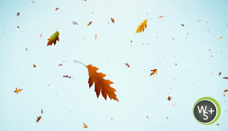 Fall Into SEO: Why September is the Perfect Time to Invest in Search Engine Optimization