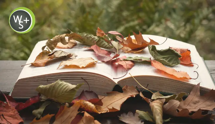 Seasonal Storytelling: How to Tap Into Fall Trends for More Engagement