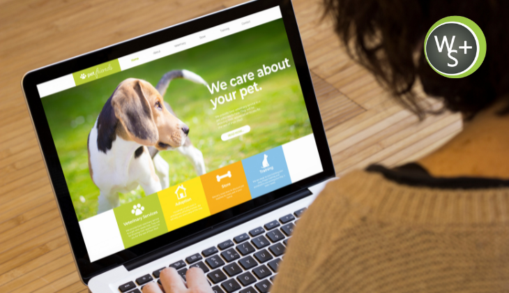 From Traffic to Trust, How Strategic Branding Converts Visitors Into Customers