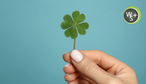 Stop Relying on Luck, How Smart Marketing Strategy Drives Real Growth
