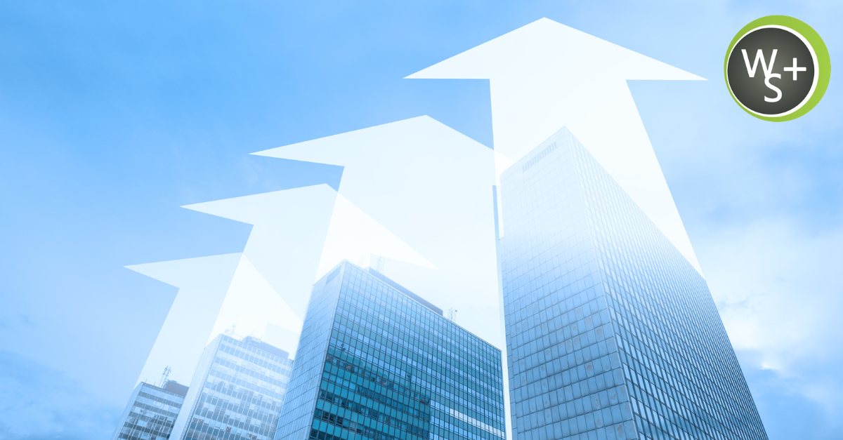 Grow Your Business Online With Web Strategy Plus, A Smarter Path to Consistent Results